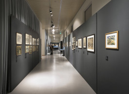 Davide Sala Architetto