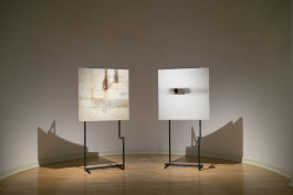 Davide Sala Architetto